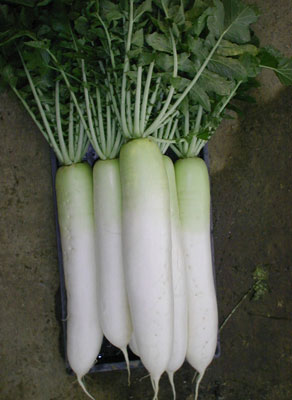 �q�|�V�T�X